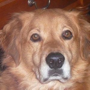 Meet your Posher, Cathy